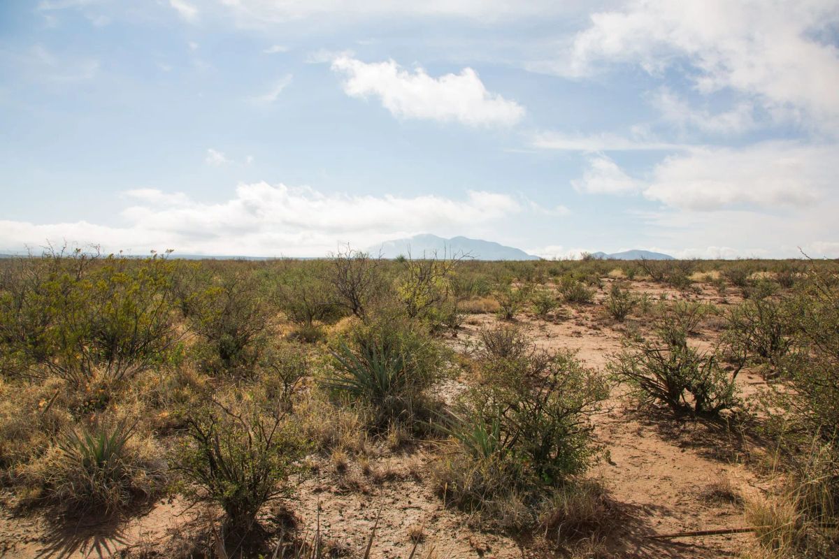 Decorative background for Sunset Ranches Tract 11 image 6