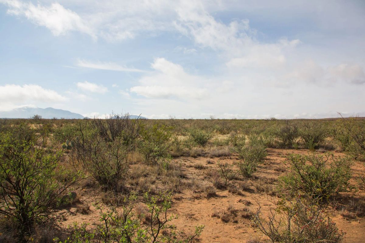 Decorative background for Sunset Ranches Tract 11 image 9