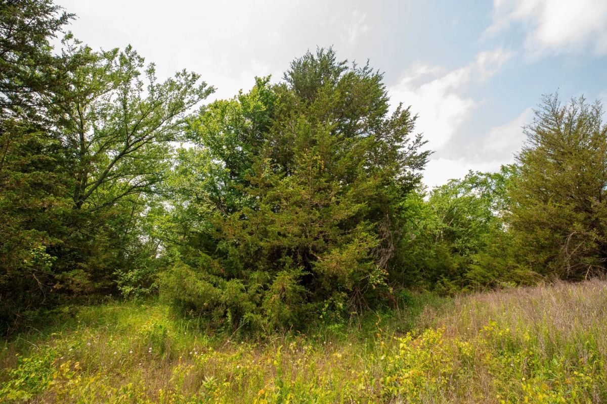 Moonrise Meadows Tract 24 - Image 4