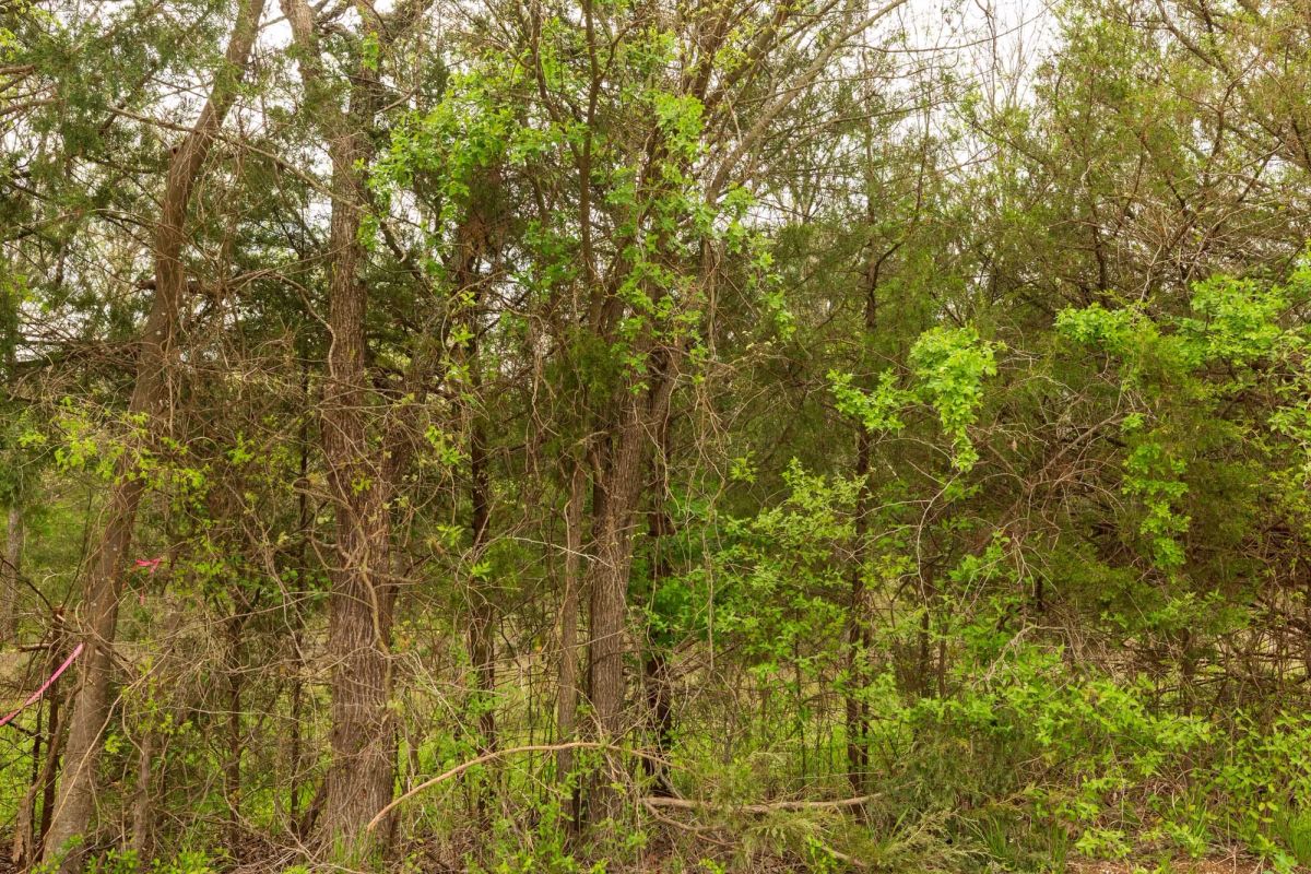 Decorative background for Moonrise Meadows Tract 24 image 5