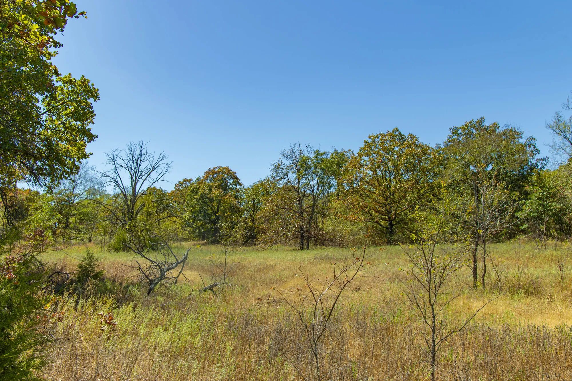 Gracyn Meadows Tract 3 in Okfuskee County, OK