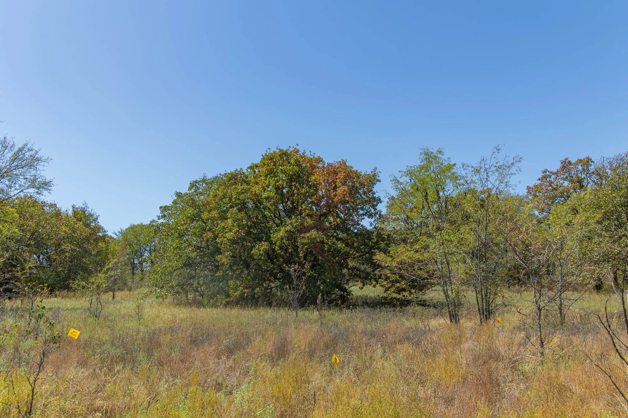 Gracyn Meadows Tract 3 in Okfuskee County, OK