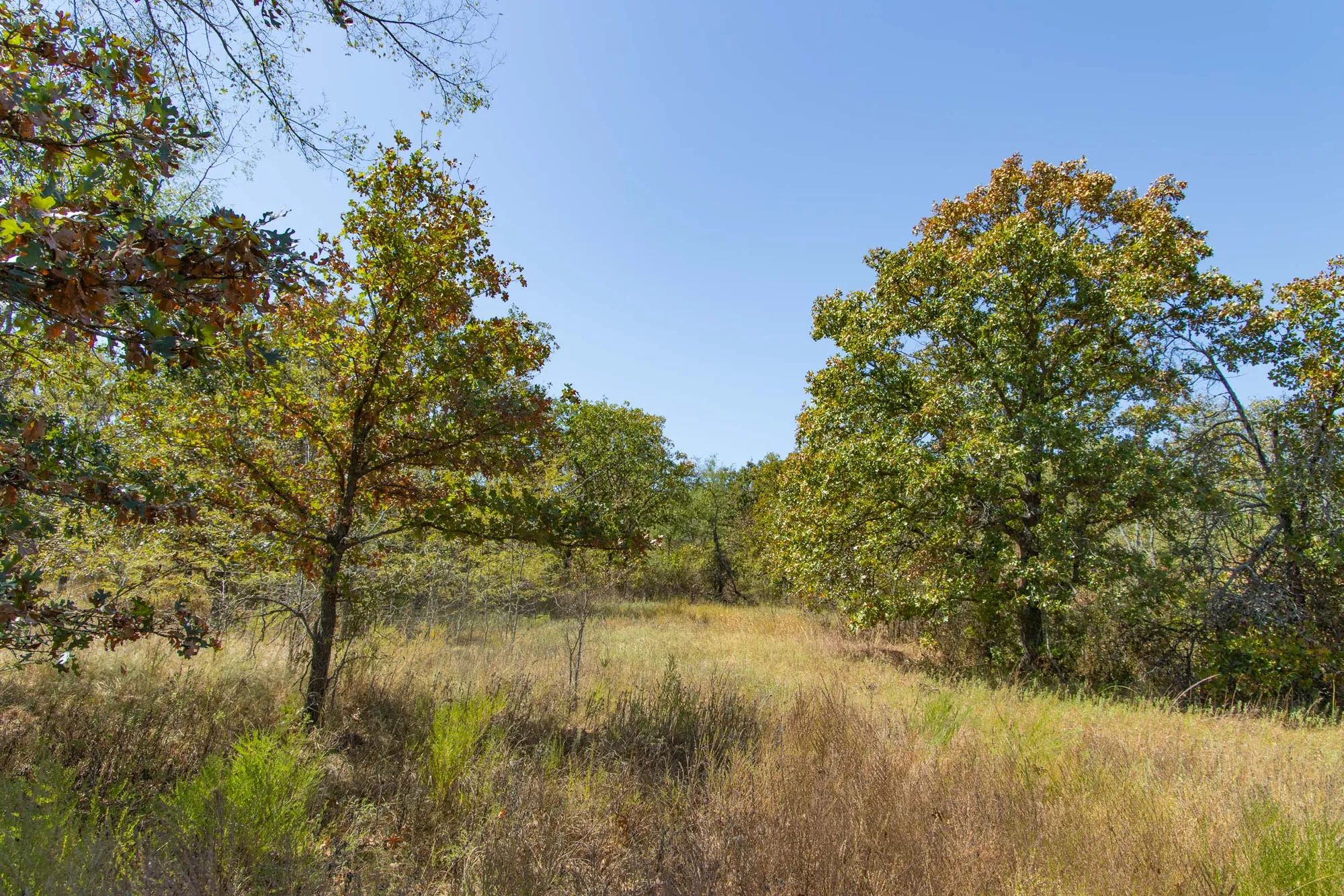 Gracyn Meadows Tract 3 in Okfuskee County, OK