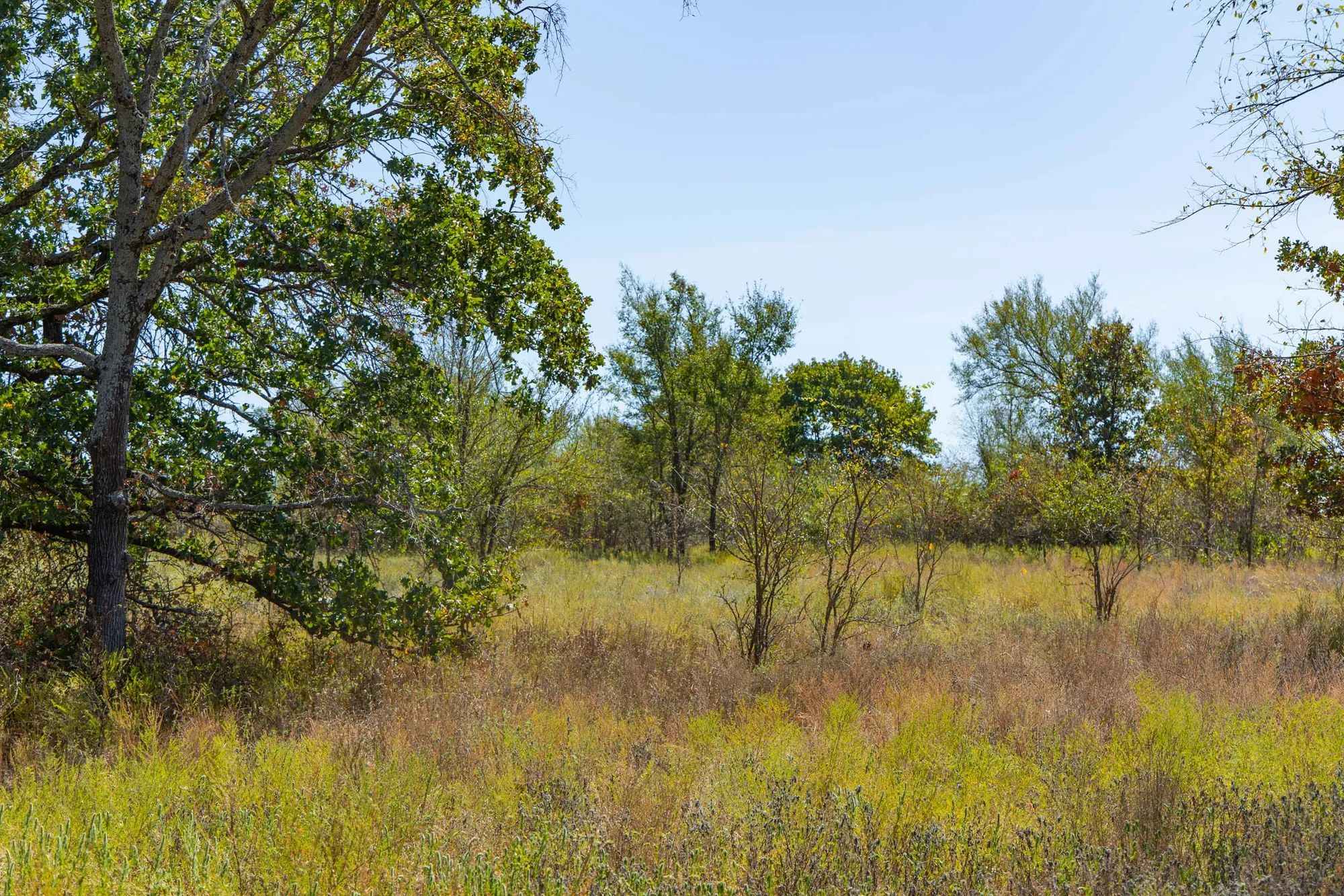 Gracyn Meadows Tract 3 in Okfuskee County, OK