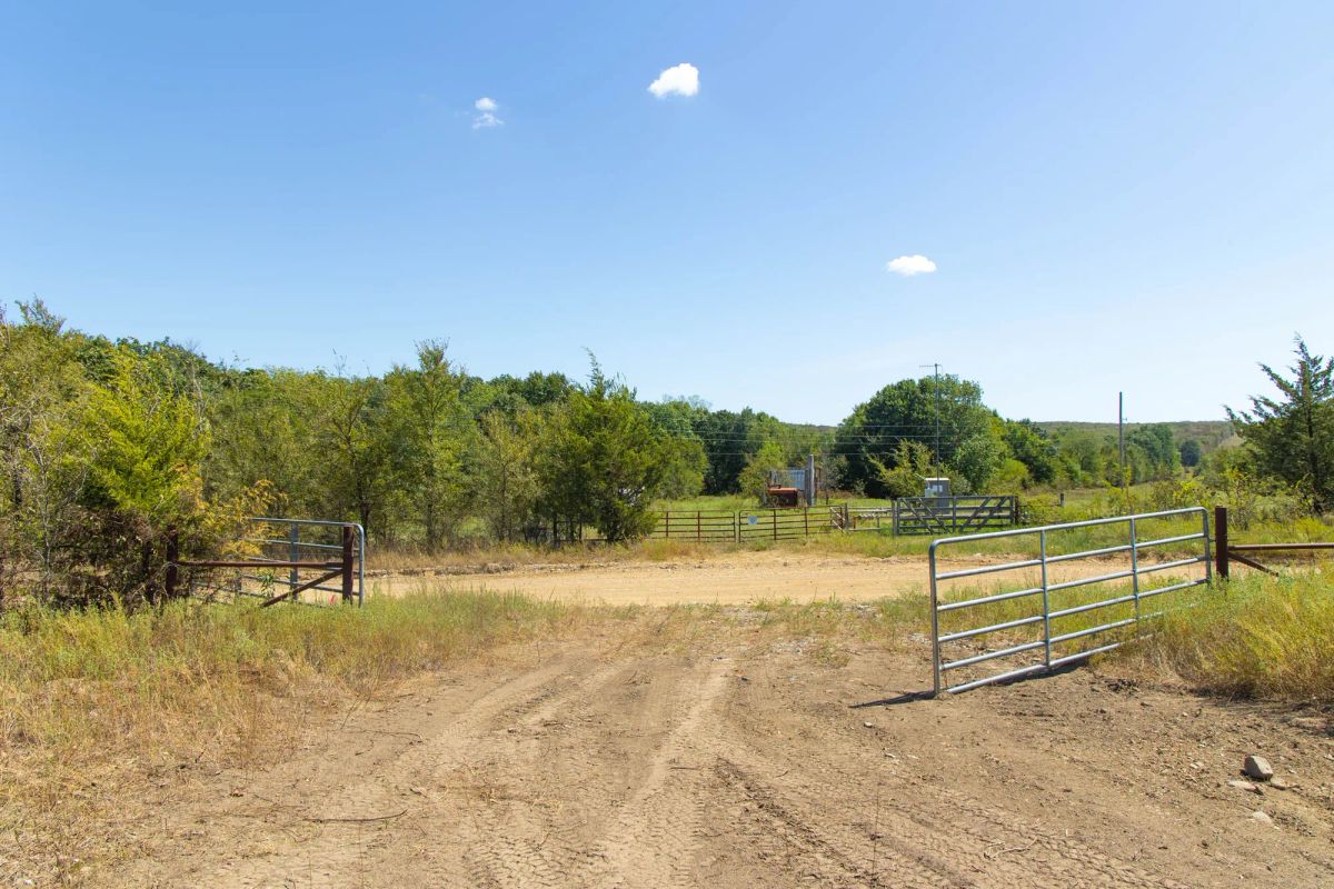 Decorative background for Gracyn Meadows Tract 3 image 5