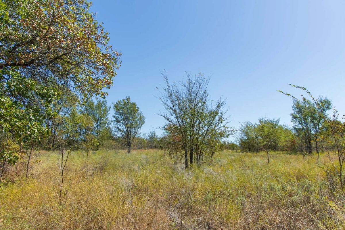 Decorative background for Gracyn Meadows Tract 3 image 7