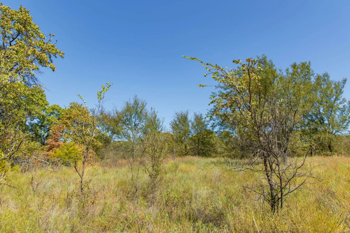 Decorative background for Gracyn Meadows Tract 3 image 9