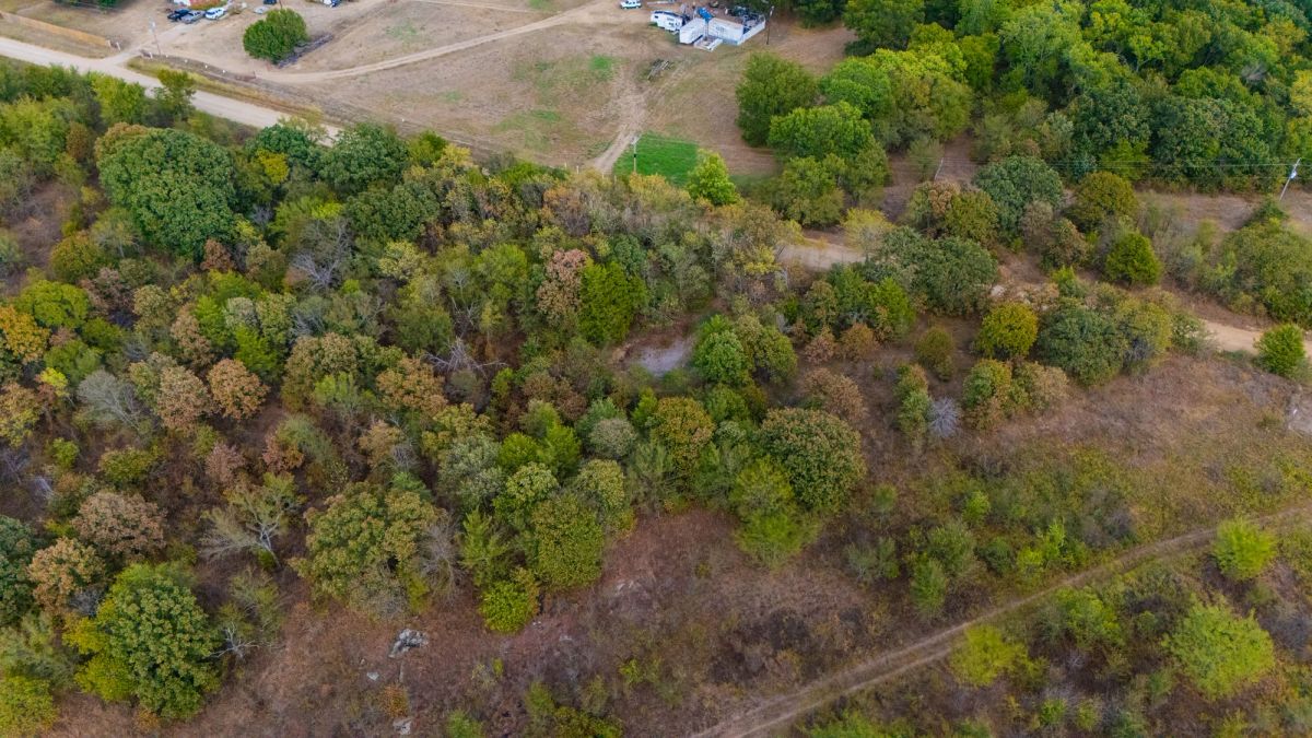 Decorative background for Gracyn Meadows Tract 3 image 10