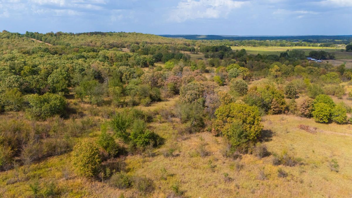 Decorative background for Gracyn Meadows Tract 3 image 12