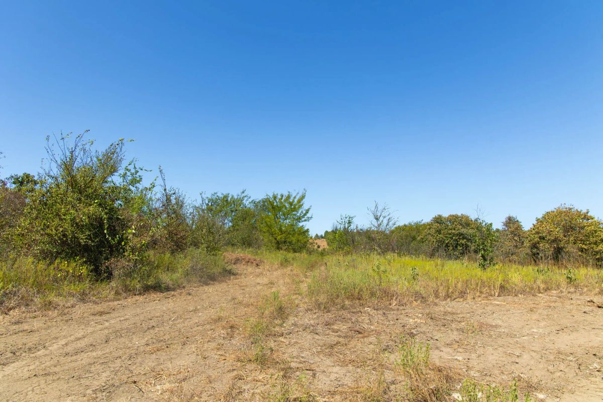 Decorative background for Gracyn Meadows Tract 3 image 13