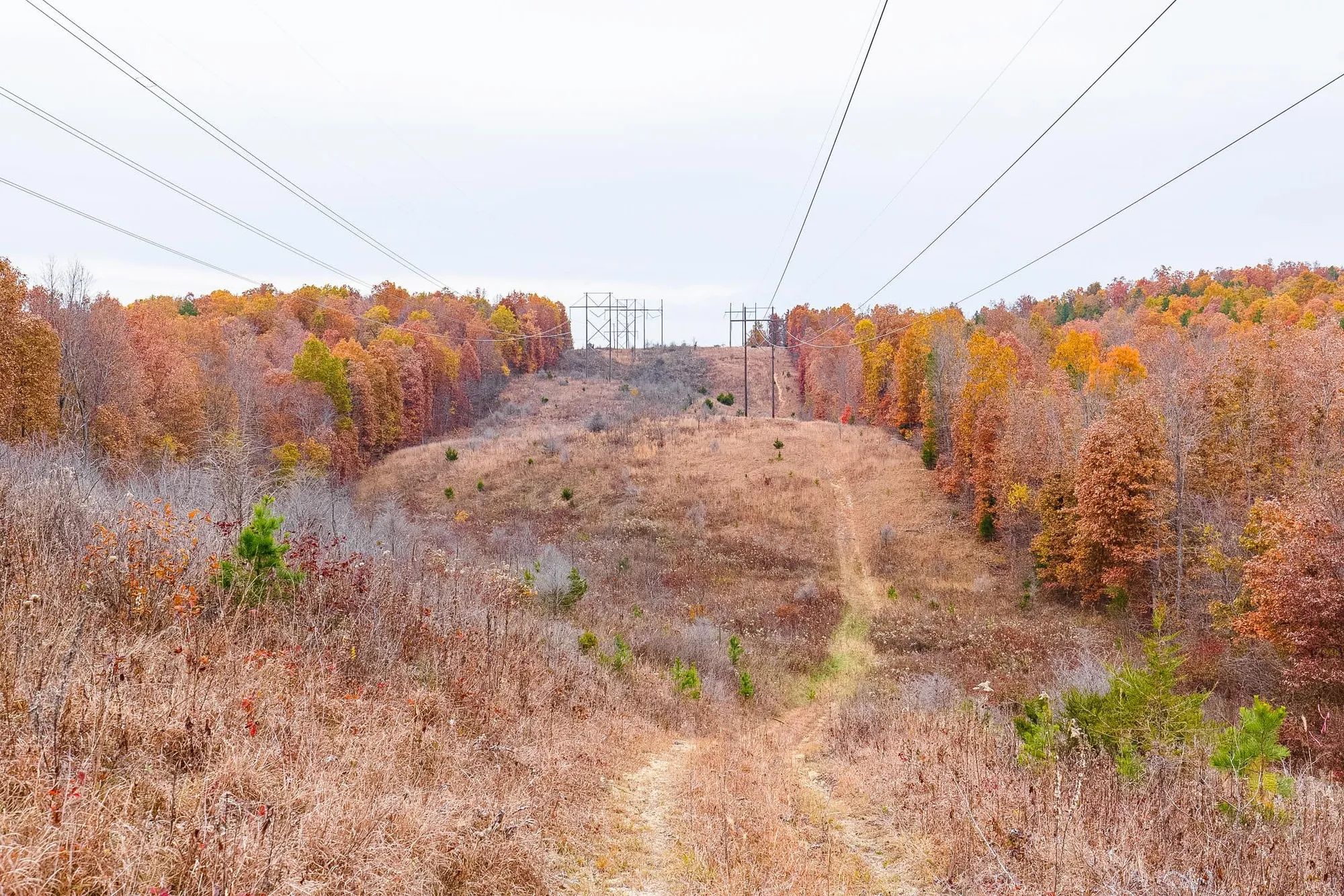 Hawkcrest Tract 5 in Reynolds County, MO
