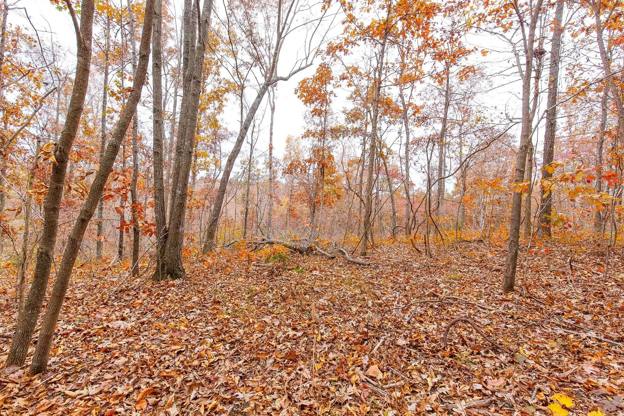 Hawkcrest Tract 5 in Reynolds County, MO