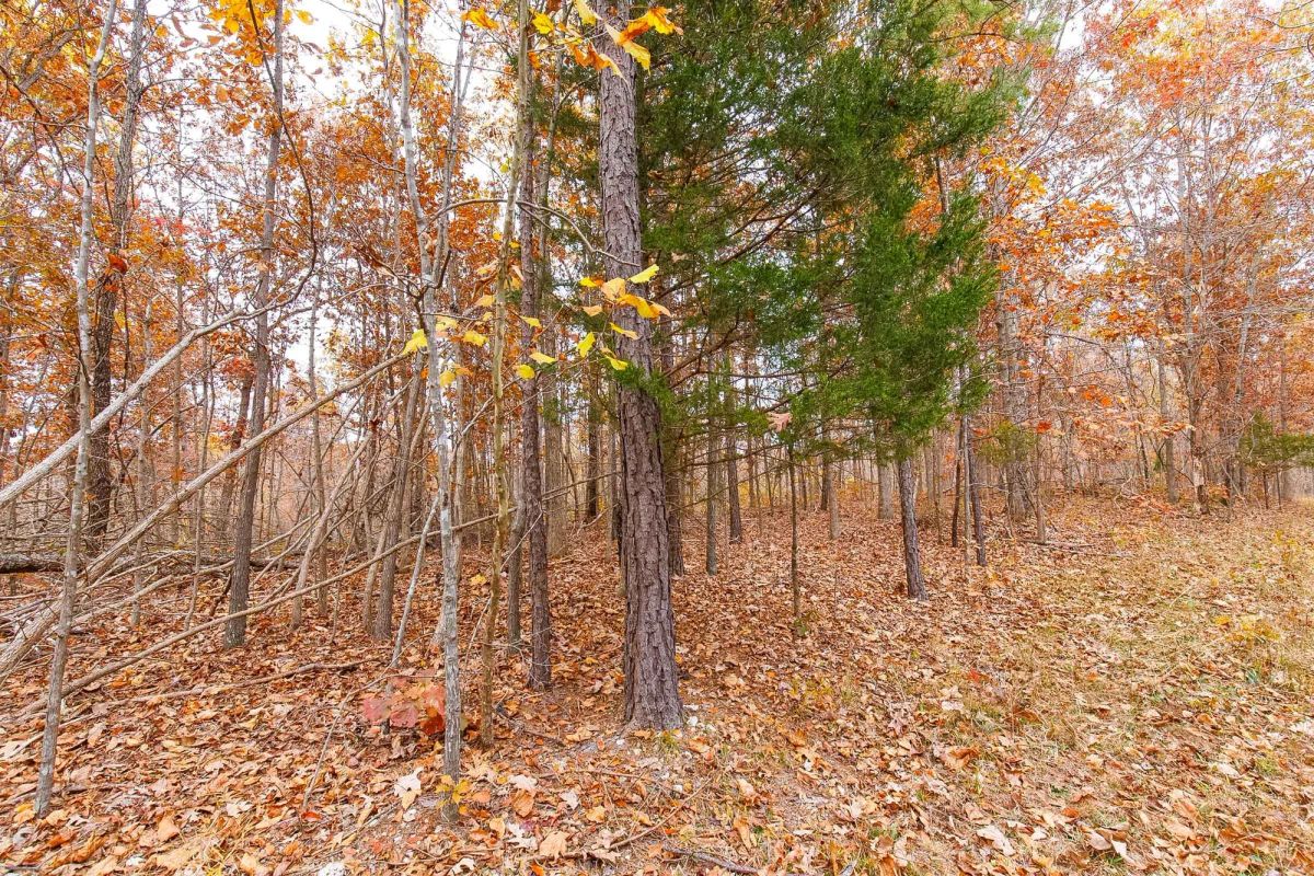 Decorative background for Hawkcrest Tract 5 image 6