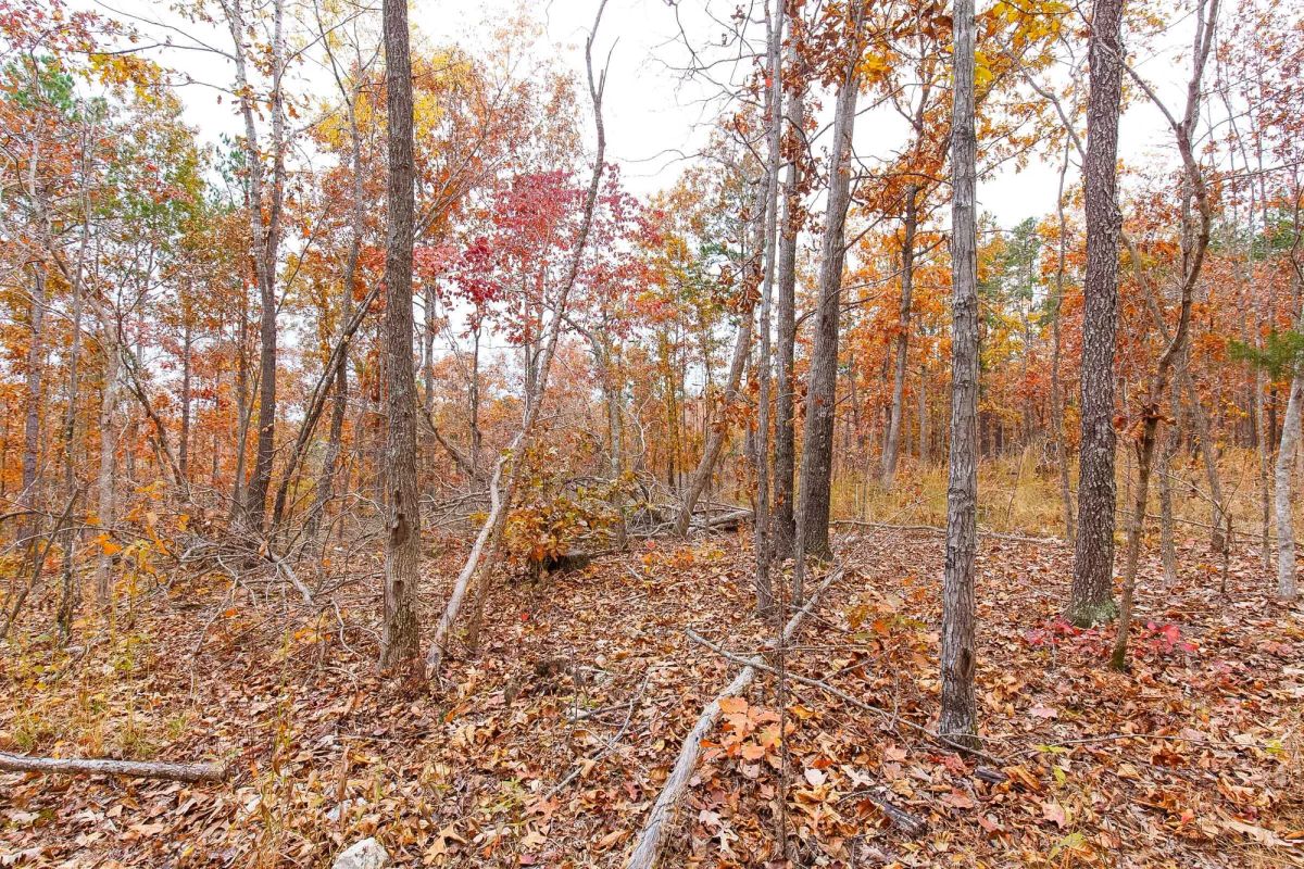 Decorative background for Hawkcrest Tract 5 image 10