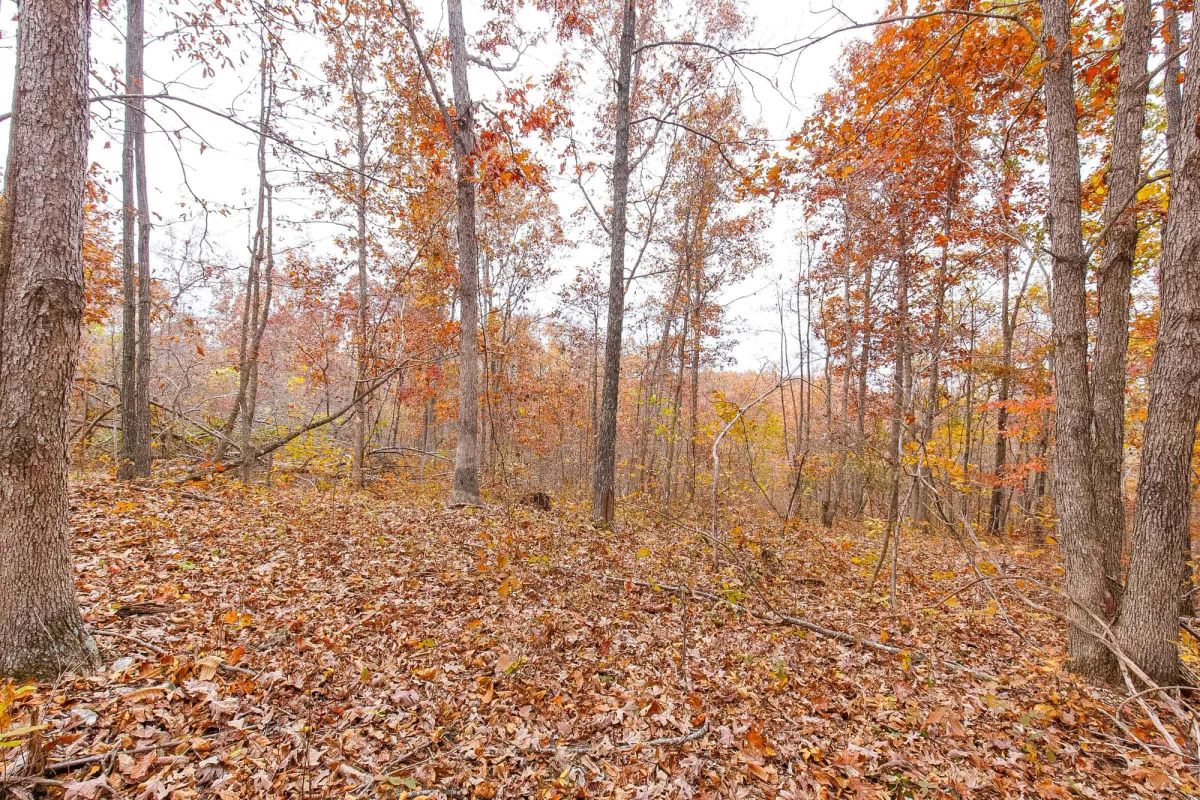 Decorative background for Hawkcrest Tract 5 image 11