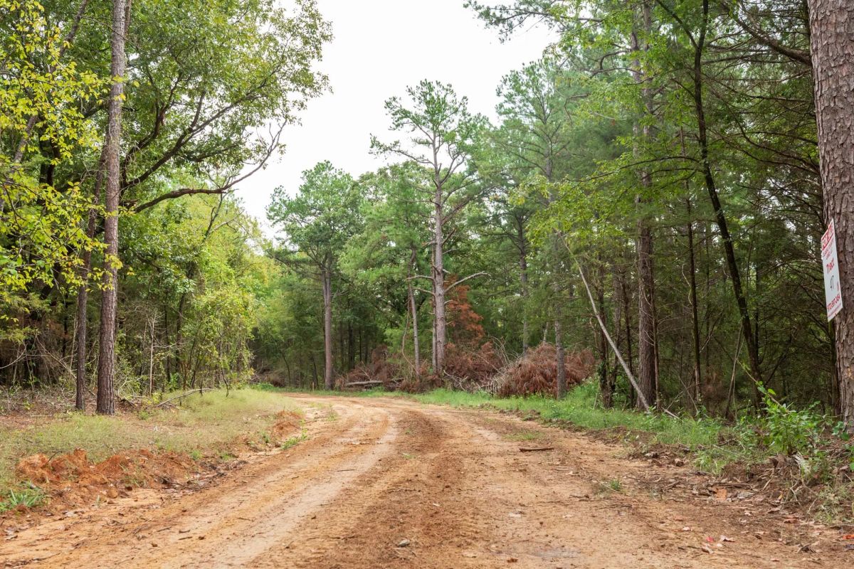 Stone Bridge Phase V Tract 416 - Image 2