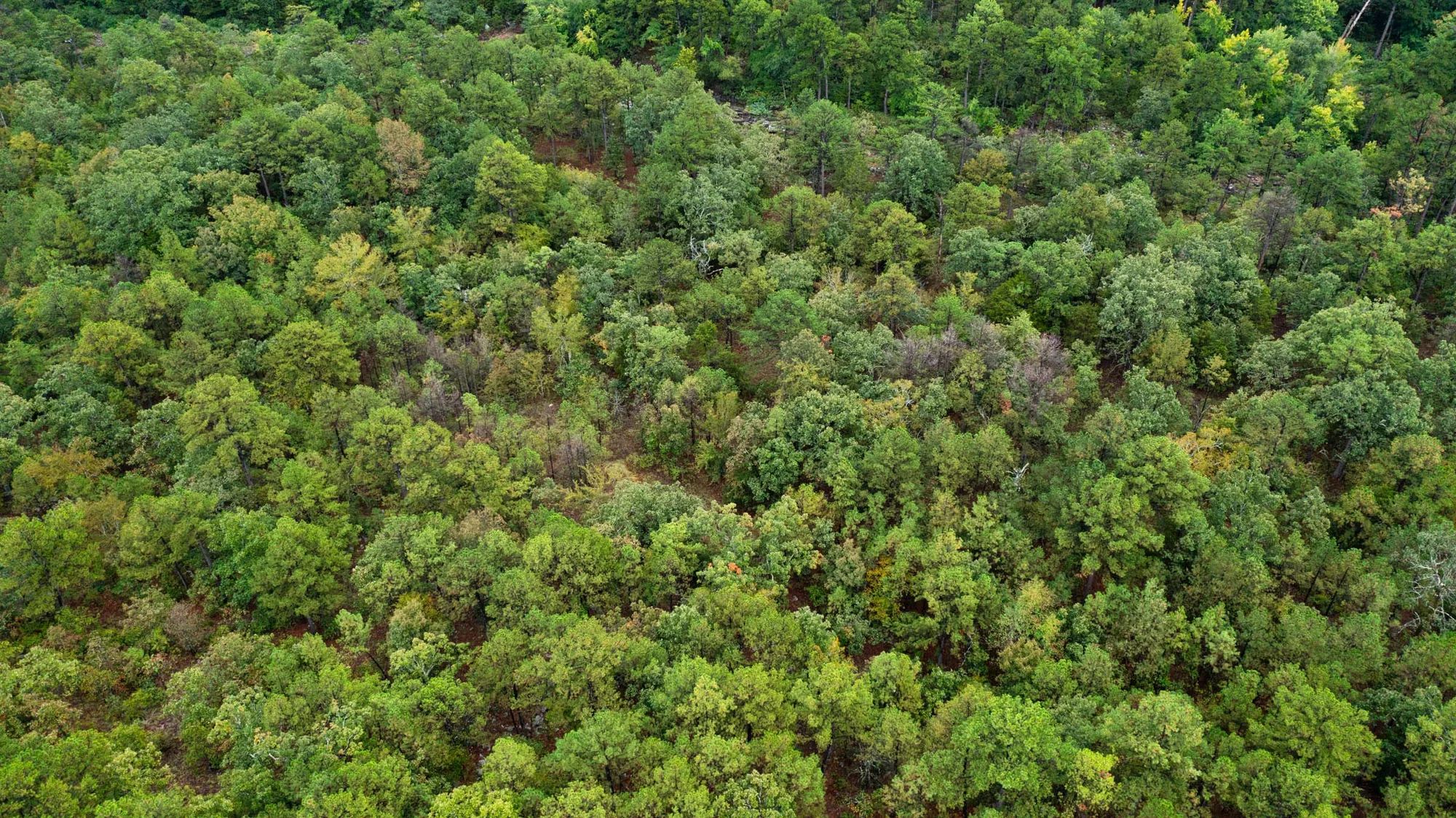Stone Bridge Phase V Tract 416 in Latimer County, OK