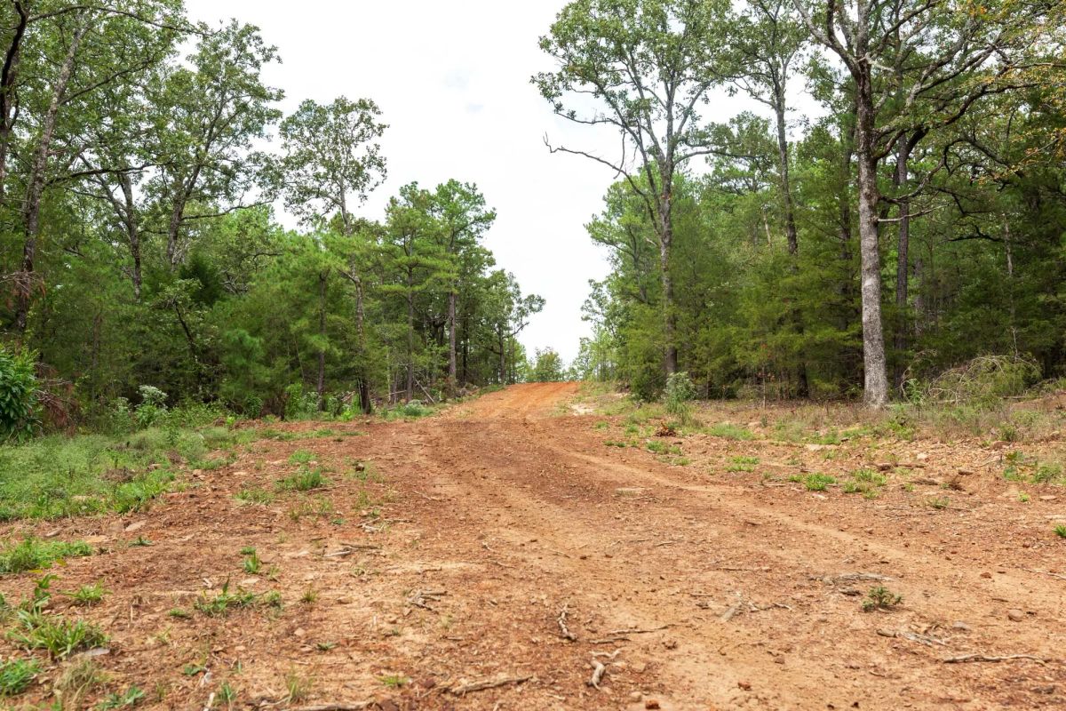 Stone Bridge Phase V Tract 416 - Image 4