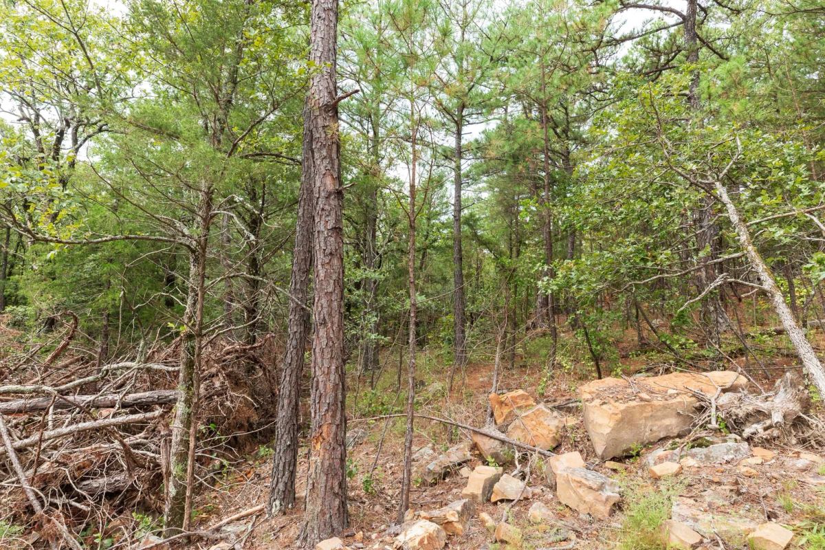 Decorative background for Stone Bridge Phase V Tract 416 image 7