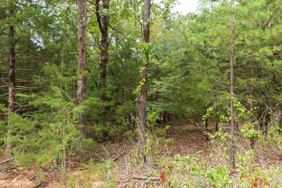 Decorative background for Stone Bridge Phase V Tract 416 image 10
