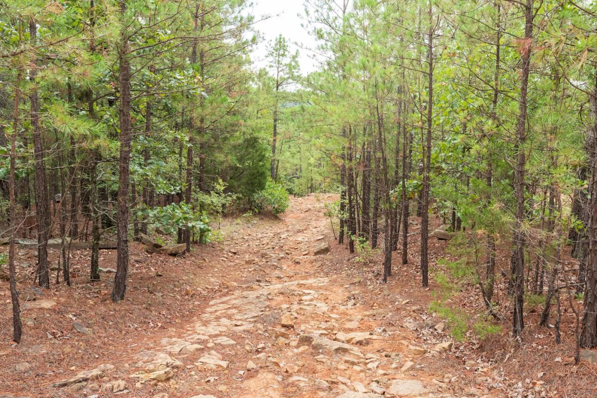 Decorative background for Stone Bridge Phase V Tract 416 image 16
