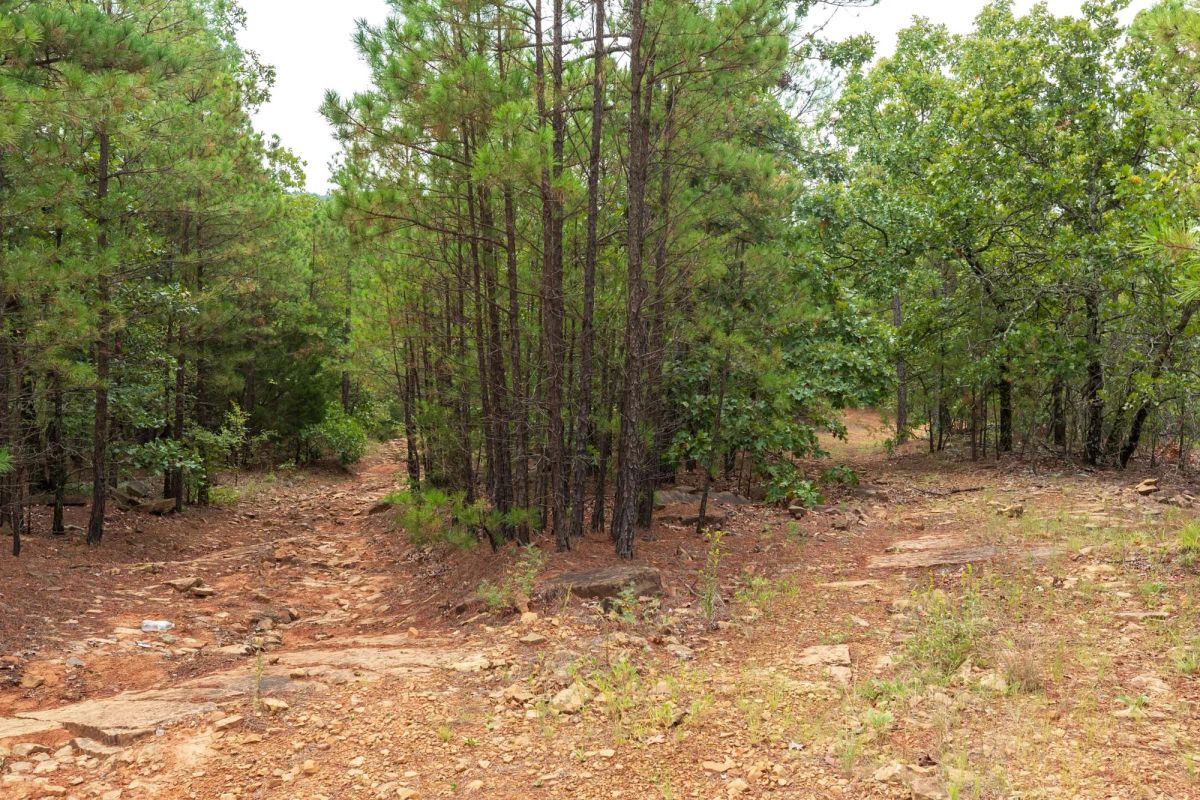 Decorative background for Stone Bridge Phase V Tract 416 image 18