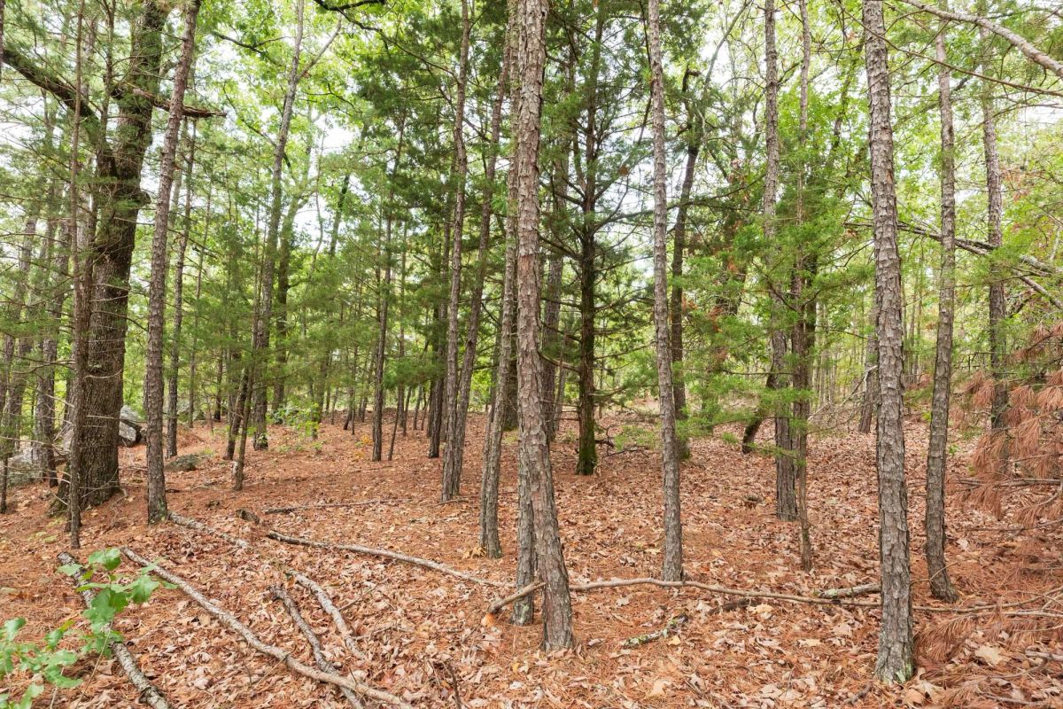 Decorative background for Stone Bridge Phase V Tract 416 image 19
