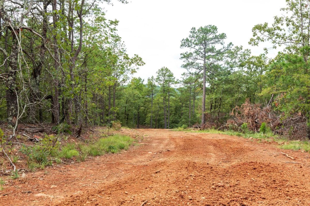 Decorative background for Stone Bridge Phase V Tract 416 image 20