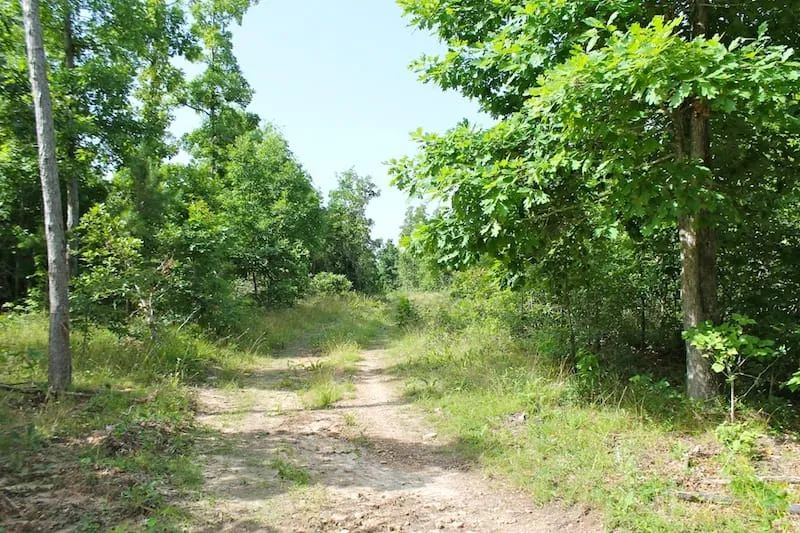 Green Mountain Ranch Tract 15 in Shannon County, MO
