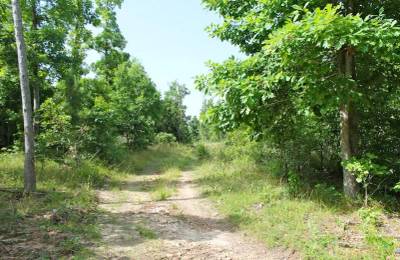 Green Mountain Ranch Tract 15