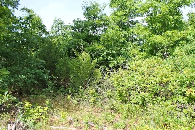 Green Mountain Ranch Tract 15 in Shannon County, MO