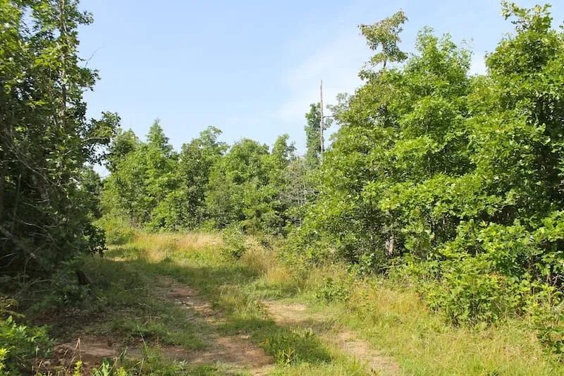 Green Mountain Ranch Tract 15 - Image 3