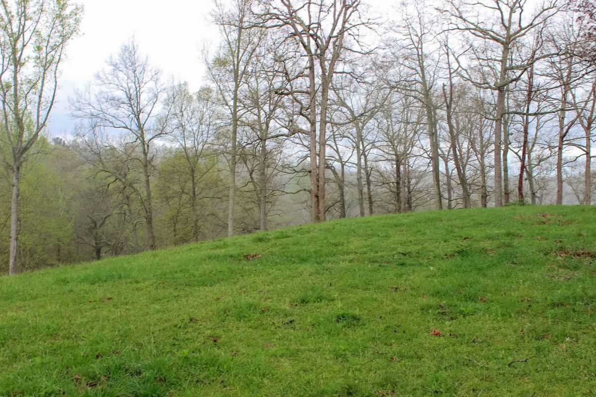 Serenity Creek Tract 18 - Image 2