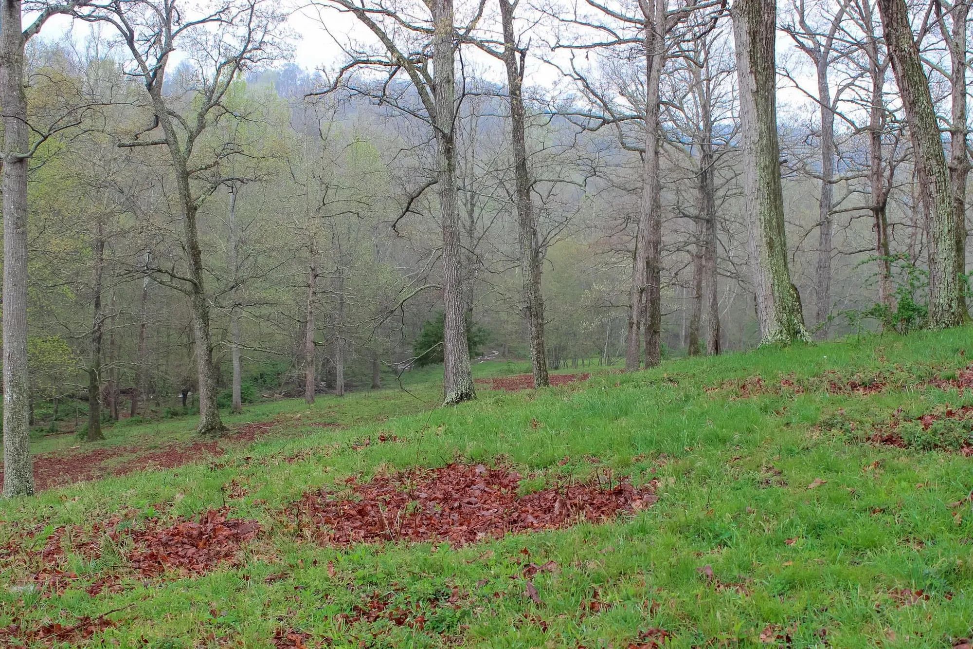 Serenity Creek Tract 18 in Laurel County, KY