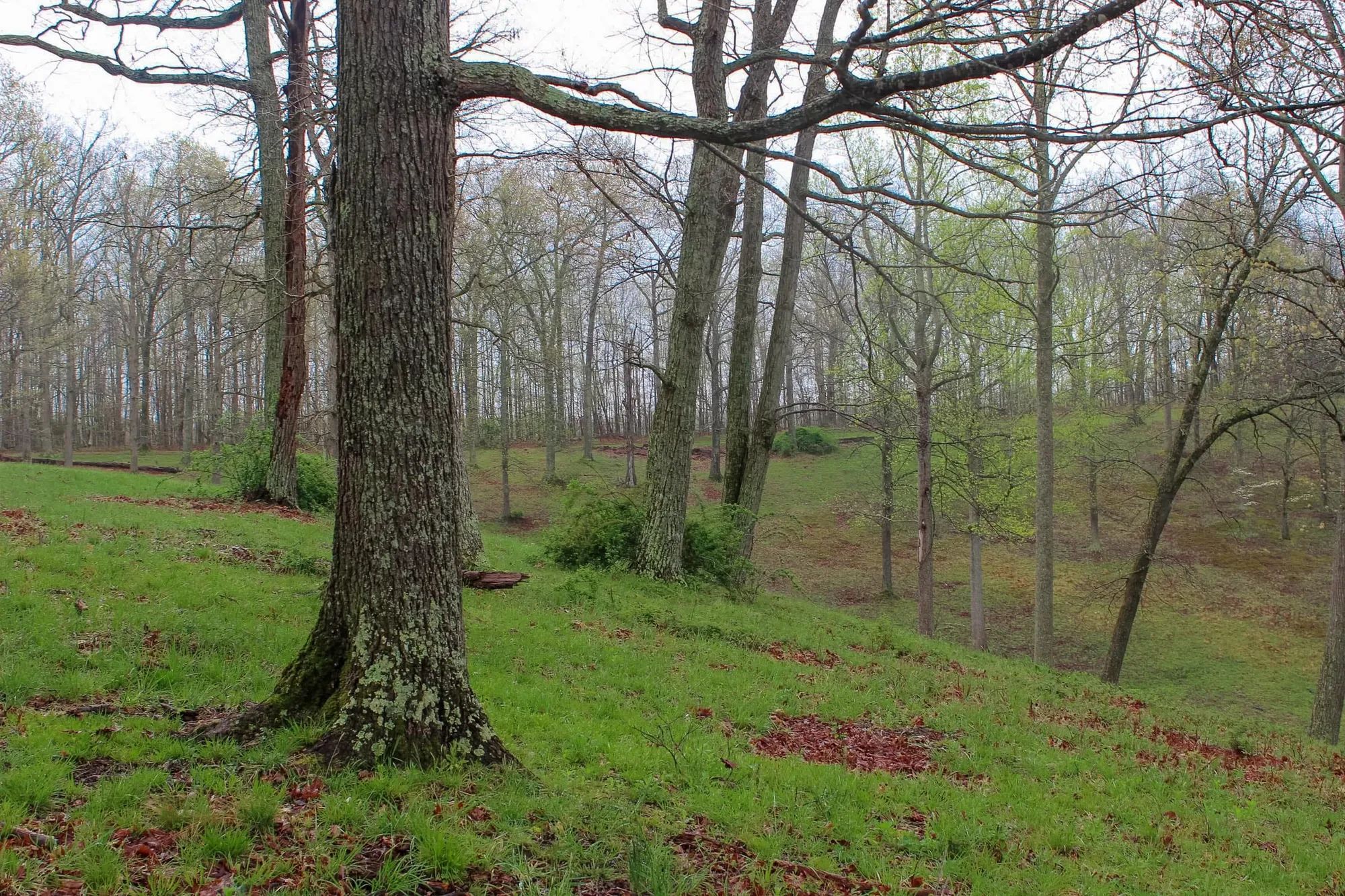 Serenity Creek Tract 18 in Laurel County, KY