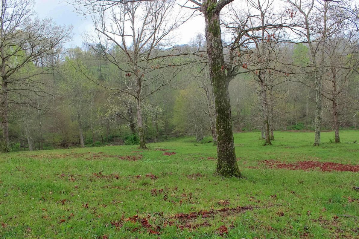 Decorative background for Serenity Creek Tract 18 image 6