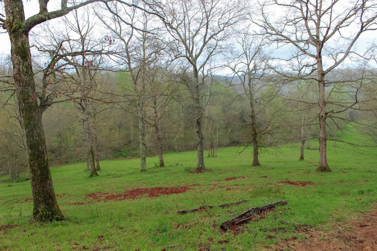 Decorative background for Serenity Creek Tract 18 image 7