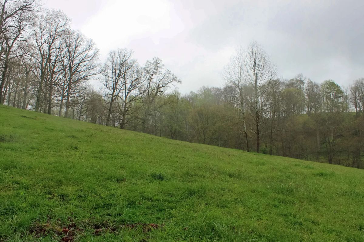 Decorative background for Serenity Creek Tract 18 image 8