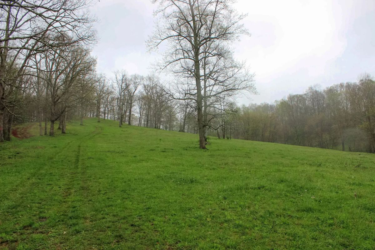 Decorative background for Serenity Creek Tract 18 image 9