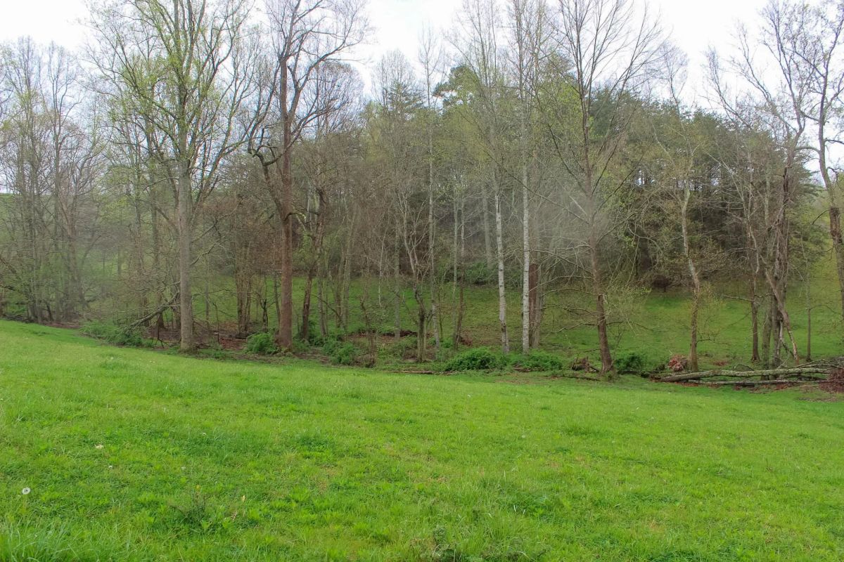 Decorative background for Serenity Creek Tract 18 image 10