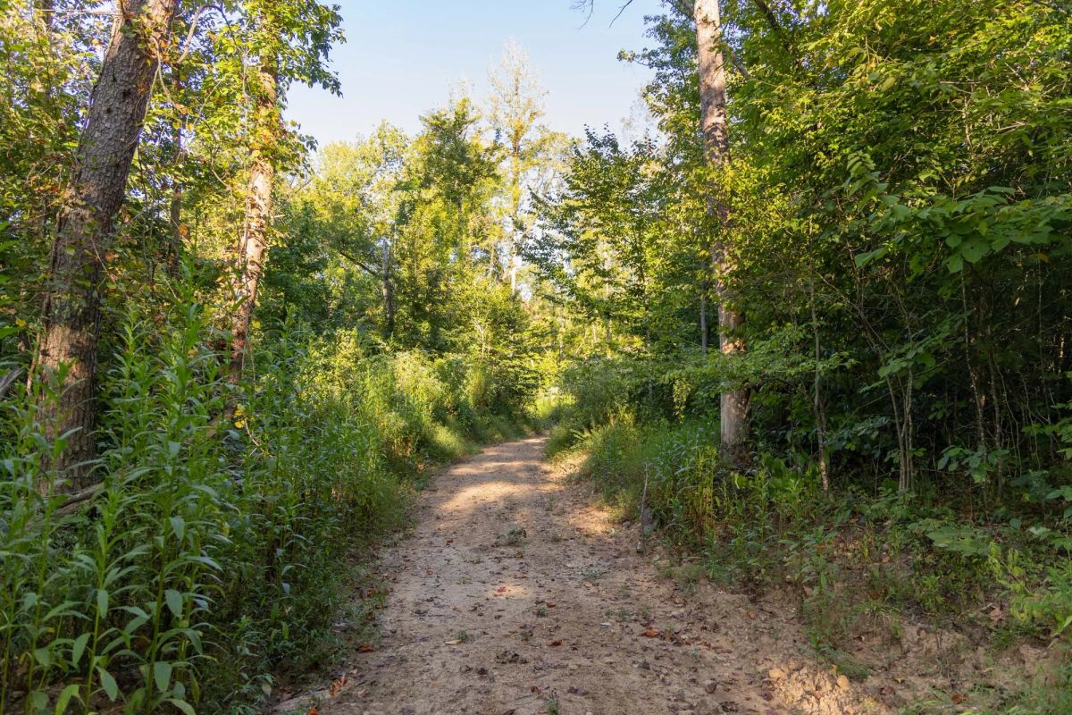 Big White Oak Tract 90 - Main image