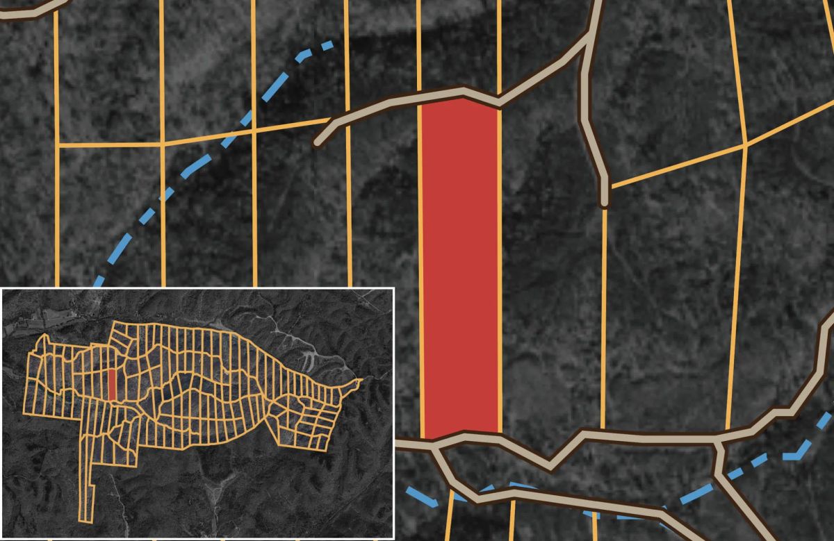 Decorative background for Big White Oak Tract 90 image 10