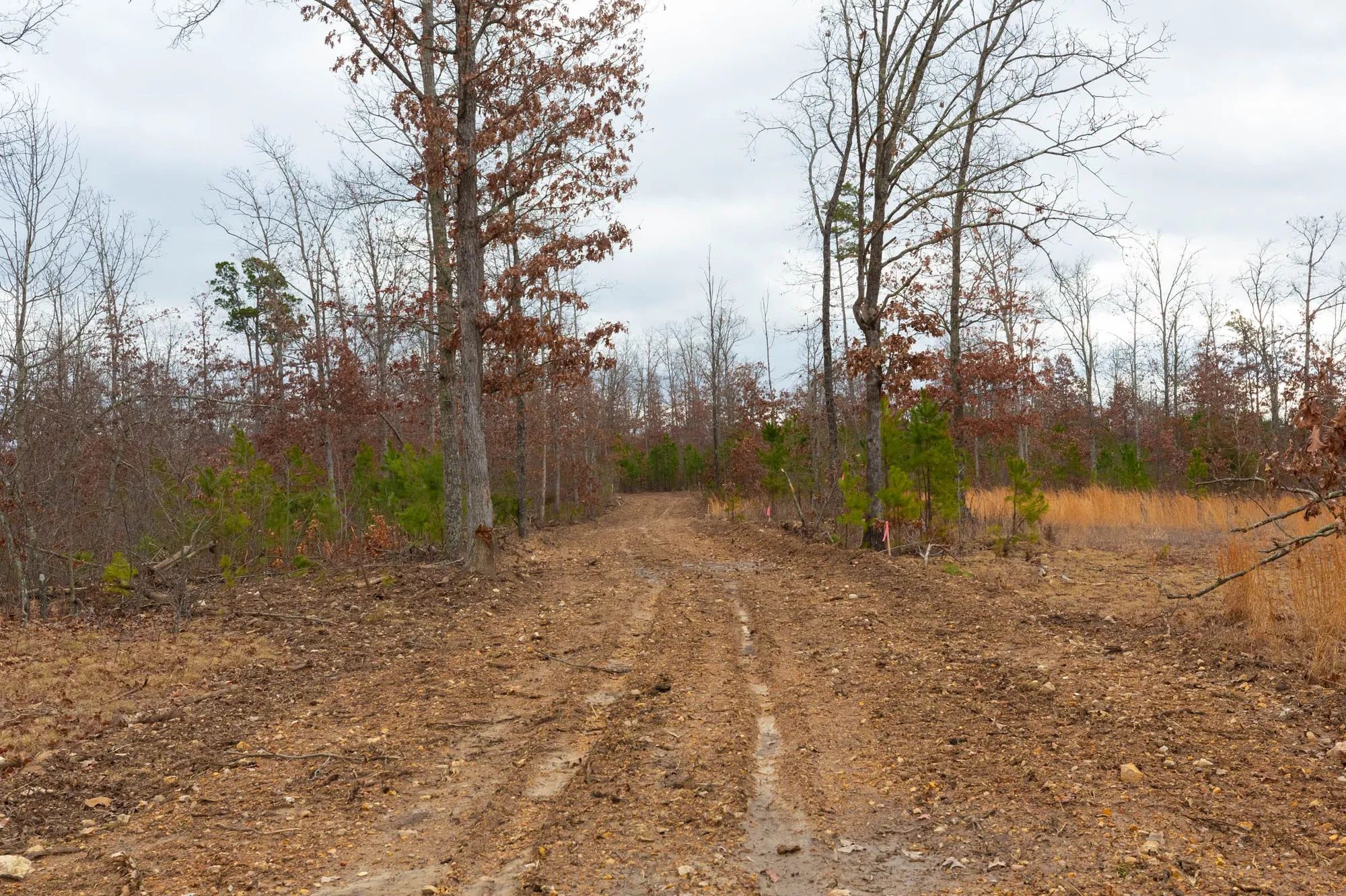 Windy Ridge Tract 10 in Texas County, MO