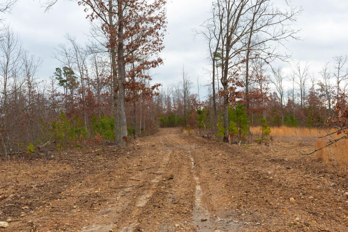 Windy Ridge Tract 10 - Main image