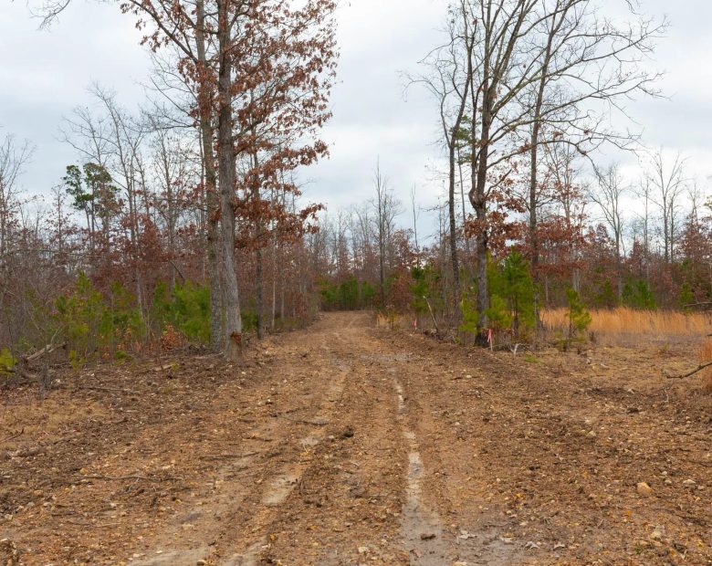 Windy Ridge Tract 10 in Texas County, MO