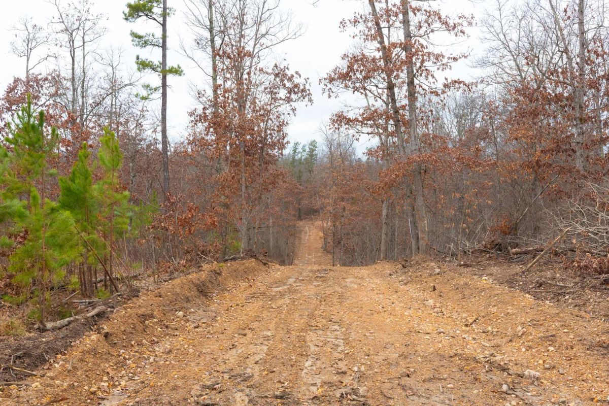Decorative background for Windy Ridge Tract 10 image 7