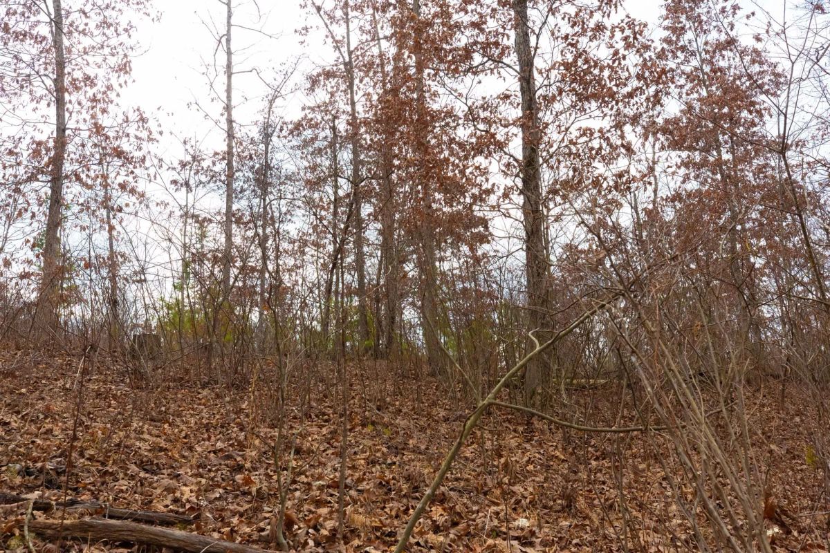 Decorative background for Windy Ridge Tract 10 image 11