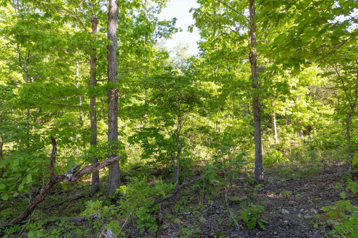 Sleepy Hollow Phase II Tract 62 - Main image