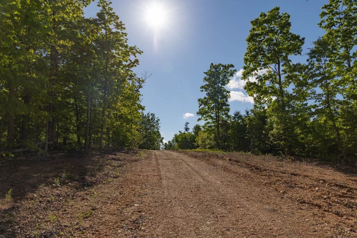 Sleepy Hollow Phase II Tract 62 - Image 2
