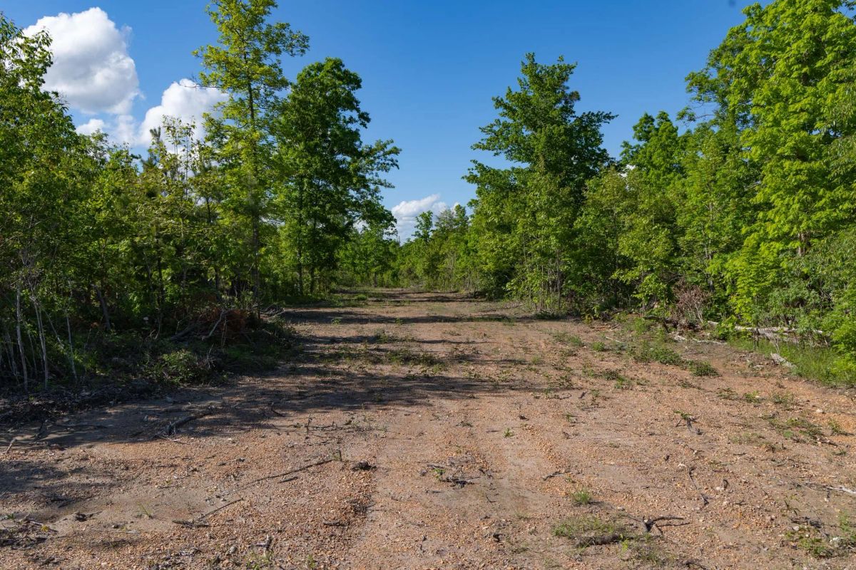Sleepy Hollow Phase II Tract 62 - Image 3
